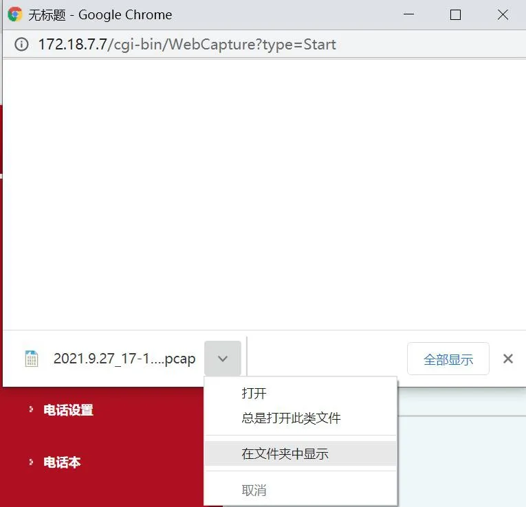 Packet capture download completed