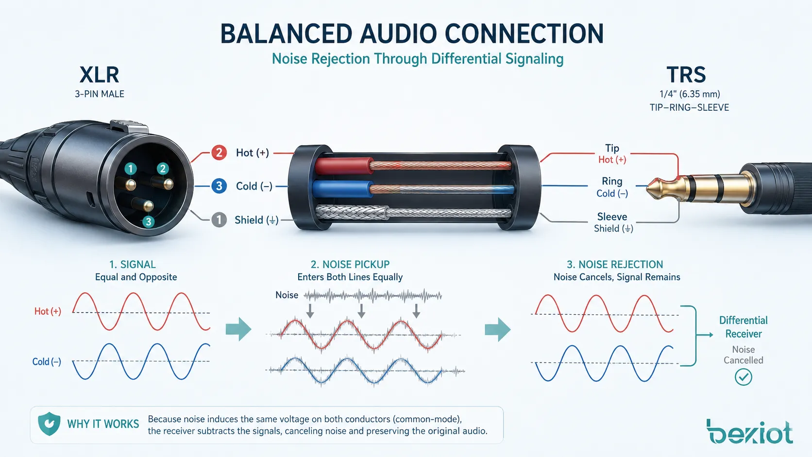 Schéma d’audio symétrique montrant des connecteurs XLR et TRS avec conducteurs positif négatif et blindage pour le rejet du bruit